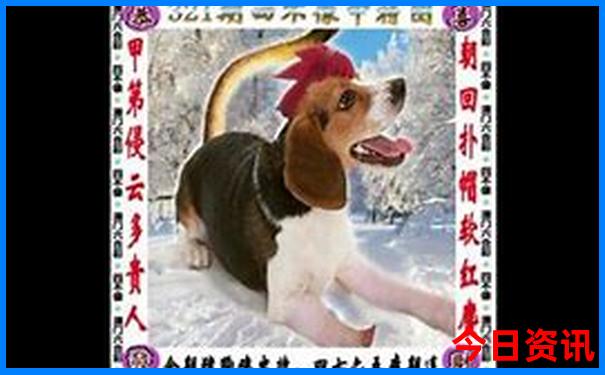 北京市景区有哪些景点